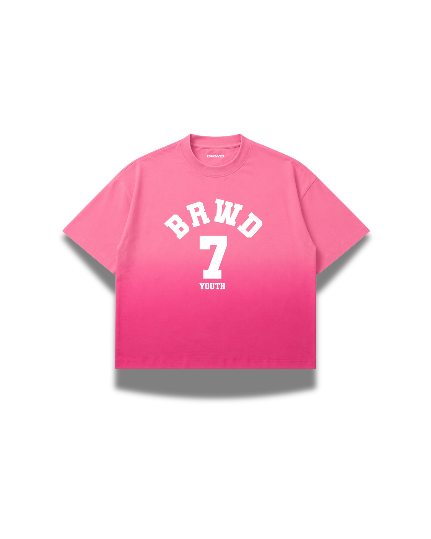 Borrowed Youth Ombré Washed Pink T-Shirt
