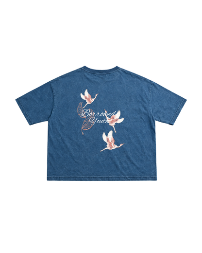 Denim Washed Boxy T-Shirt